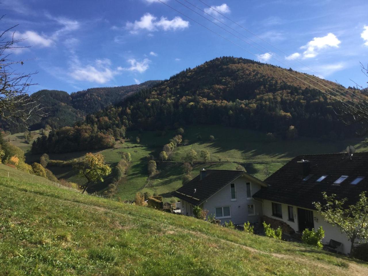 Appartement Erikas Haus à Münstertal Extérieur photo