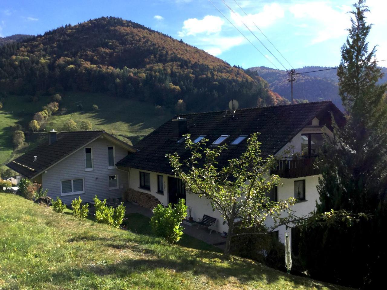 Appartement Erikas Haus à Münstertal Extérieur photo